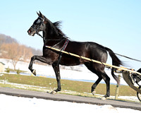 Lot 4