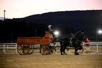 AJB_5701