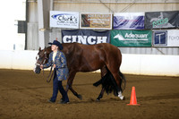 39. Amateur Aged Geldings