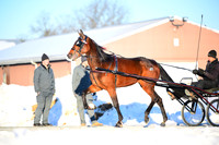 Lot 10 - Romy