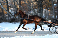 Lot 103 - Diamond