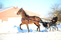 Lot 108 - Hill Climber