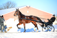 Lot 11 - Royal Chrome