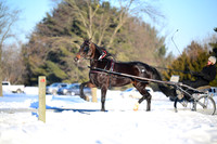 Lot 112 - Neely Cruiser