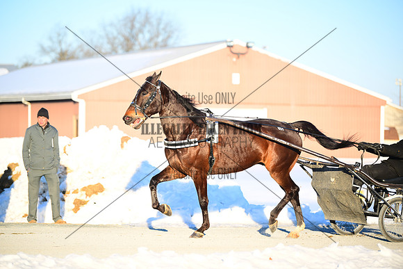 ASH_0056