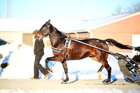 ASH_0044
