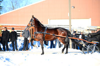 Lot 16 - T.S. Dream