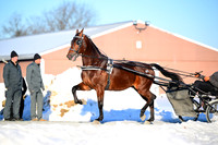 Lot 18 - Lifetime Royalty