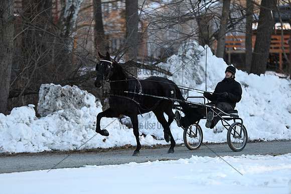 IMG_6662