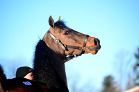 Lot 26 - JWB A Time to Gamble