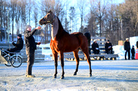 ASH_0166