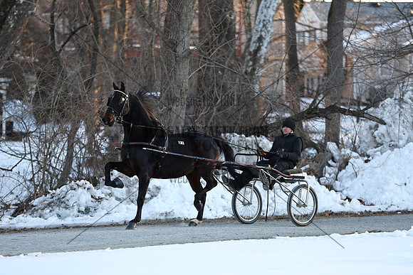 IMG_6749