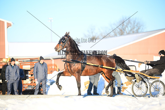 ASH_0095