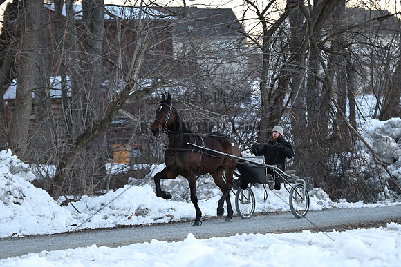 IMG_6444