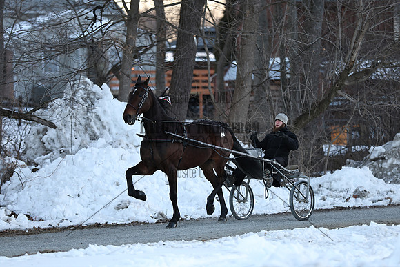 IMG_6446