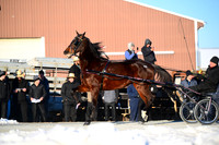 Lot 38 - Chief