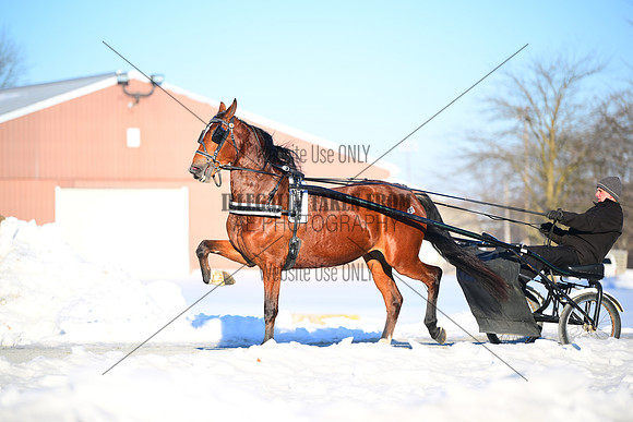 ASH_0322