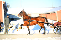 ASH_0037