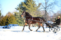 ASH_0218