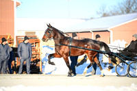 ASH_0067