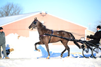 Lot 61 - Roc Royal