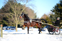 ASH_0367