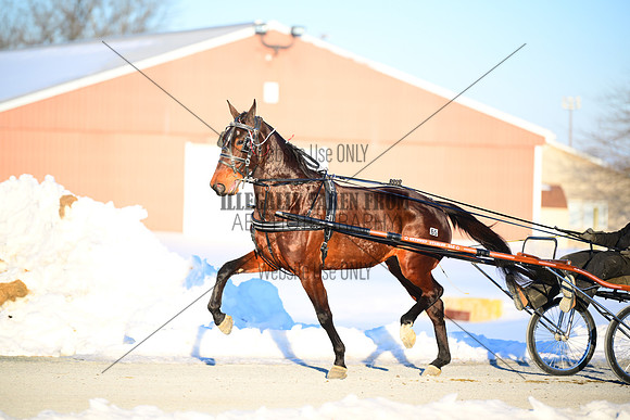 ASH_0053