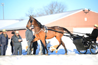 Lot 72 - Eagle Ridge Ritzy