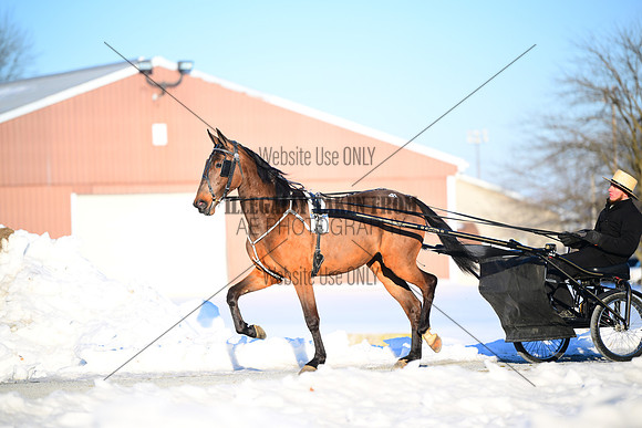 ASH_0306