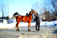 ASH_0135