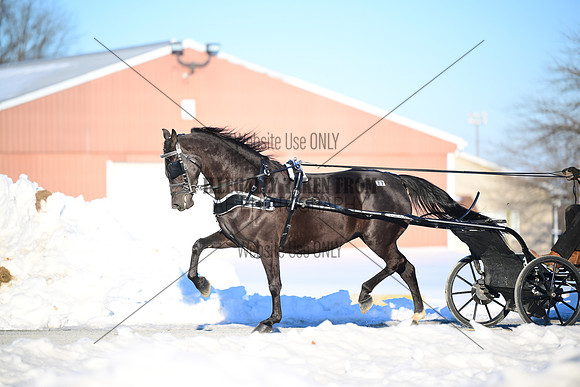 ASH_0356