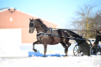 ASH_0337