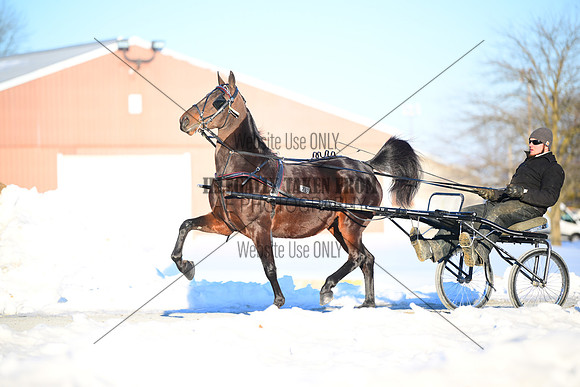 ASH_0181