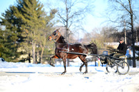 ASH_0187