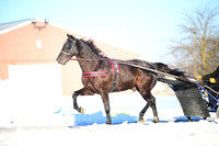 ASH_0224
