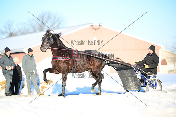 ASH_0191