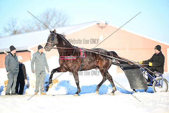 ASH_0206
