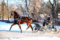 Lot 80 - ECS Masque N Magic