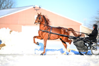 ASH_0353
