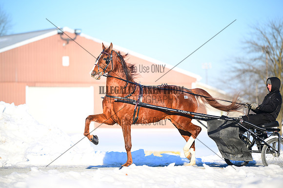 ASH_0362