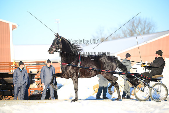ASH_0094