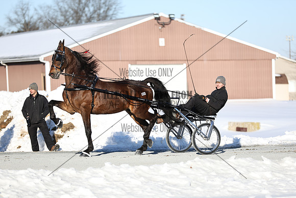 IMG_7434