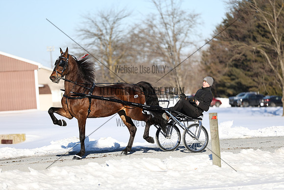 IMG_7412
