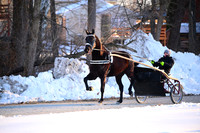 Lot 9 - Party Boy Hanover