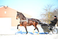 ASH_0185