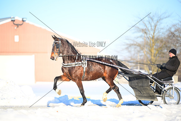 ASH_0185
