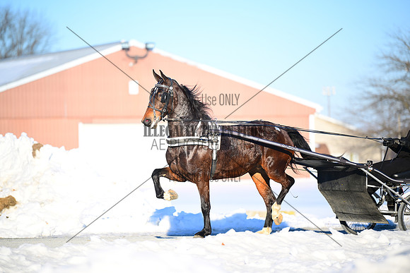 ASH_0329