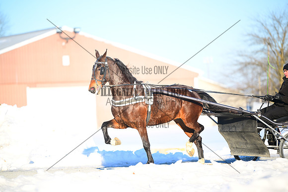 ASH_0203