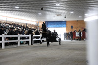 Lot 12
