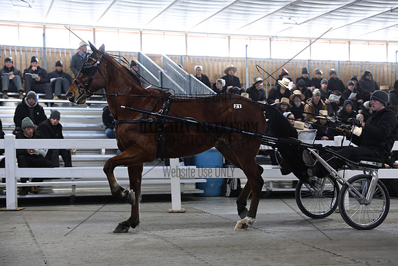 IMG_7831